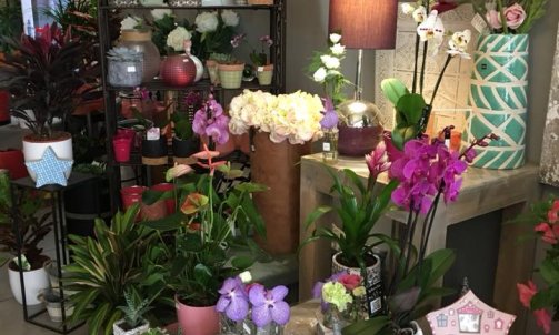 Boutique de fleurs Mortagne-sur-Sèvre  