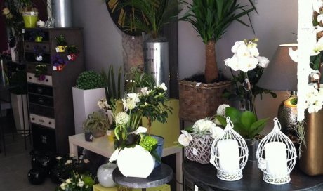 Boutique de fleurs Mortagne-sur-Sèvre   